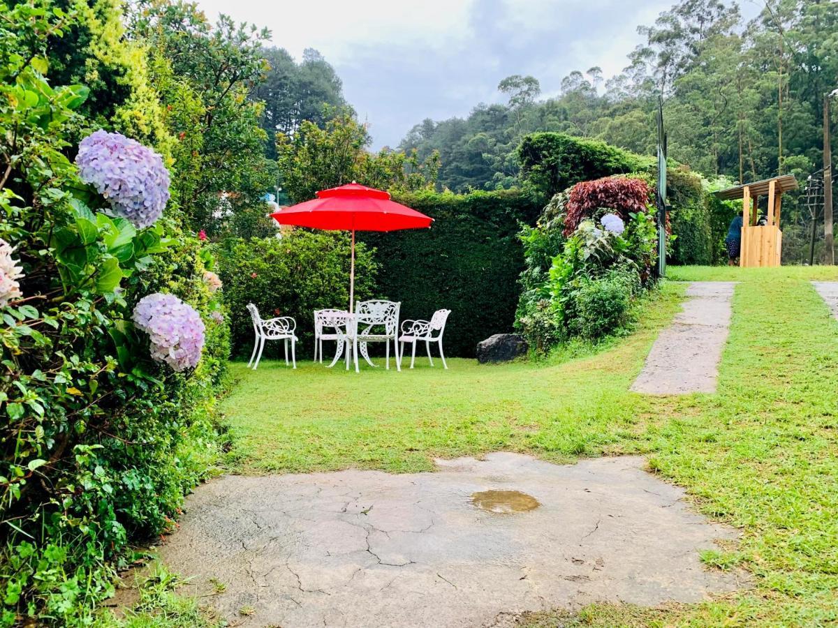 Miliya * Nuwara Eliya